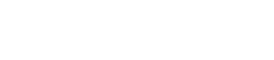 CleverAlpha Securities